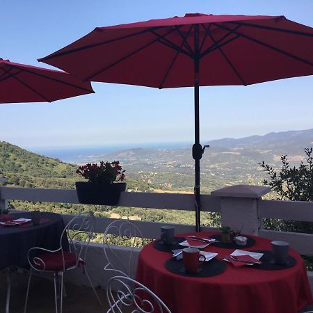 U Riposu Di A Cupulatta Bed and Breakfast Sollacaro Exteriör bild
